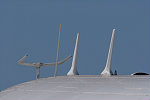 _mg_6089-c.jpg