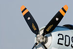 _mg_6246-c.jpg