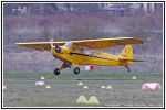 _MG_9501.jpg
