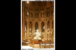 Chartres11.jpg