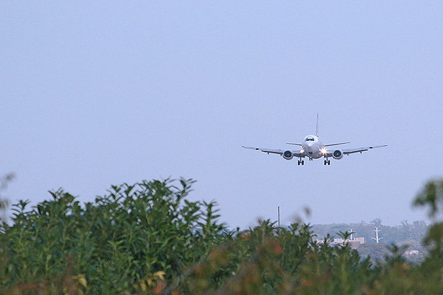 Air_France_A320_F-GHQD_2.jpg