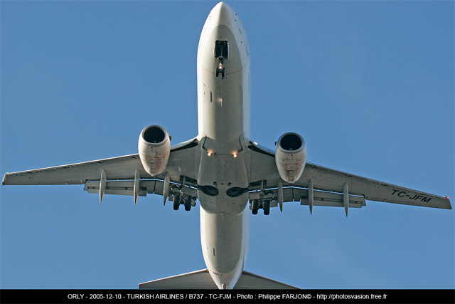 Turkish_Airlines_B737_TC-JFM_1.jpg