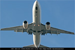 Turkish_Airlines_B737_TC-JFM_1.jpg