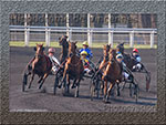 HippoVincennes